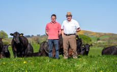 Achieving premium returns on a low input grass-based system