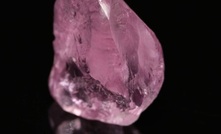 13.33ct pink diamond sold for a record $656,933/ct 