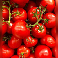 US withdraws from 2019 tomato agreement with Mexico, imposes 17.09 pc anti-dumping duty