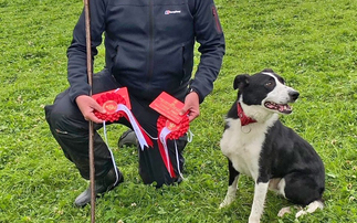 Royal Welsh Show preview: Dog Handler Focus - Chris Toner and Niro Mace 