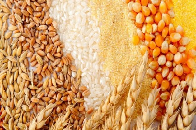 FAO food price index falls to its lowest point in 17 months