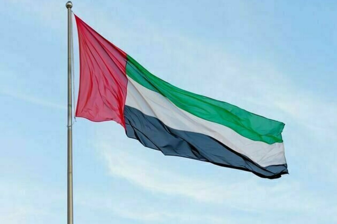 UAE offers humanitarian aid to support Sudanese refugees in Chad