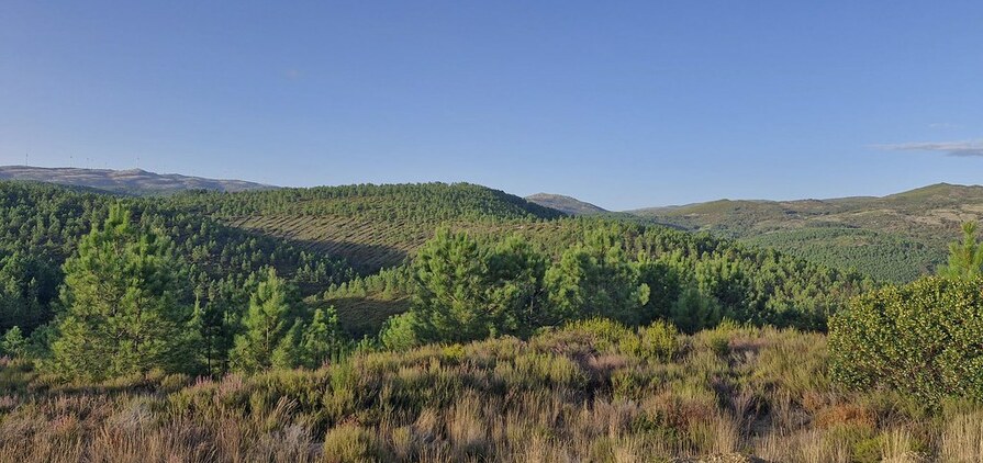 The view from Barroso