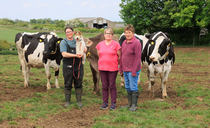 How milking heifer sales drive breeding decisions on Lincolnshire dairy farm