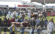 Royal Highland classes to be live streamed to limit visitor numbers