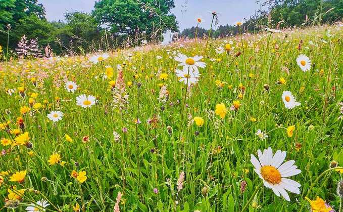 New Defra fund aims to boost private sector investment in nature recovery