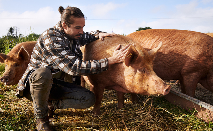 From commodities to community – how one farmer transformed his arable system