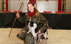 New world sheep dog record set at Skipton