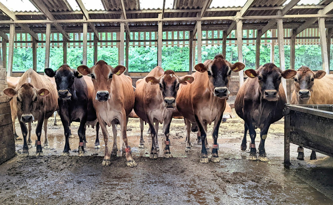 Tenant family forced to find new dairy farm