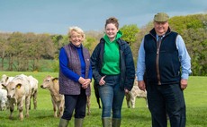 Breed Societies special: Fast-finishing Charolais meet today's market needs