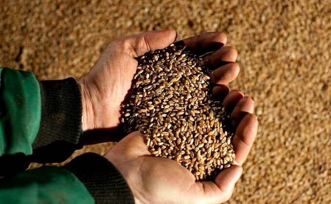 A new Scottish grain passport is being introduced to help farmers