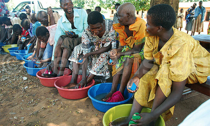 Sh306b lost to five diseases every year Sh306b lost to five diseases every year