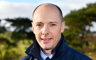 View from the Rostrum - Grant Anderson: "Trade for both prime and store cattle continues to show momentum"