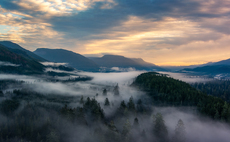 How should businesses choose a credible carbon credit project? 