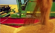 Harvest continues to steady in WA