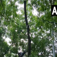 Rain lashes several parts of Delhi-NCR; IMD predicts more showers for next two days