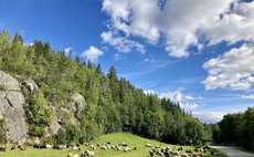 Ag in my Land: Small Norwegian farm keeps traditions alive 