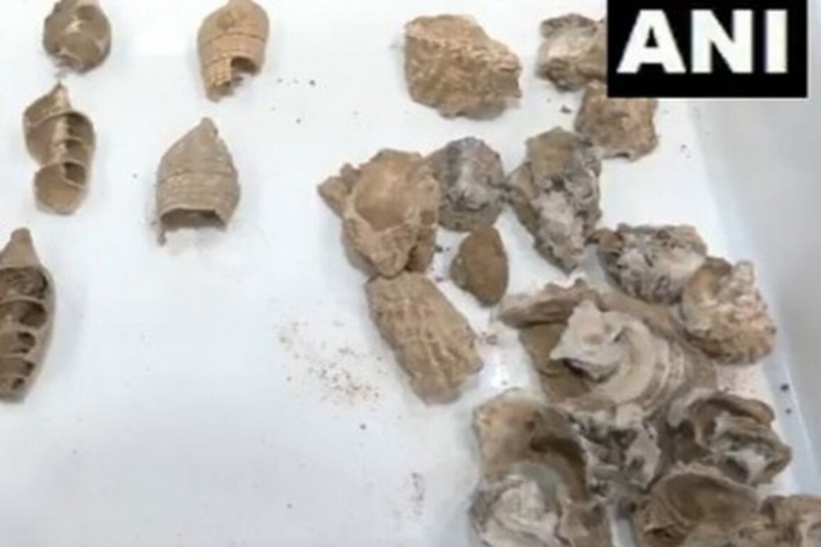Archaeological findings from Kachchh reveal evidence of human presence dating back 9,000 to 9,500 years, claim scientists