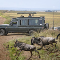 KENYA-MASAI MARA NATIONAL RESERVE-TOURISM