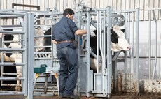 Letters: "This shows there is now more adaptability from the Government in trying to meet the evolving needs of the farming industry"