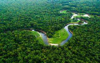 Partner Insight: Artificial Intelligence – the environment's ally
