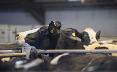 Marts show resilience in face of pandemic