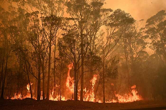   bushfire burns in the town of oruya south of atemans ay in ew outh ales on anuary 4 2020  p to 3000 military reservists were called up to tackle ustralias relentless bushfire crisis on anuary 4 as tens of thousands of residents fled their homes amid catastrophic conditions hoto by    