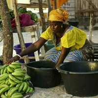 Senegal : le financement participatif, un levier encore peu exploite pour l'entrepreneuriat feminin