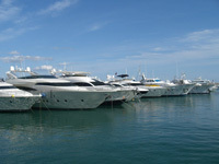 Incentive trips for merchants are back