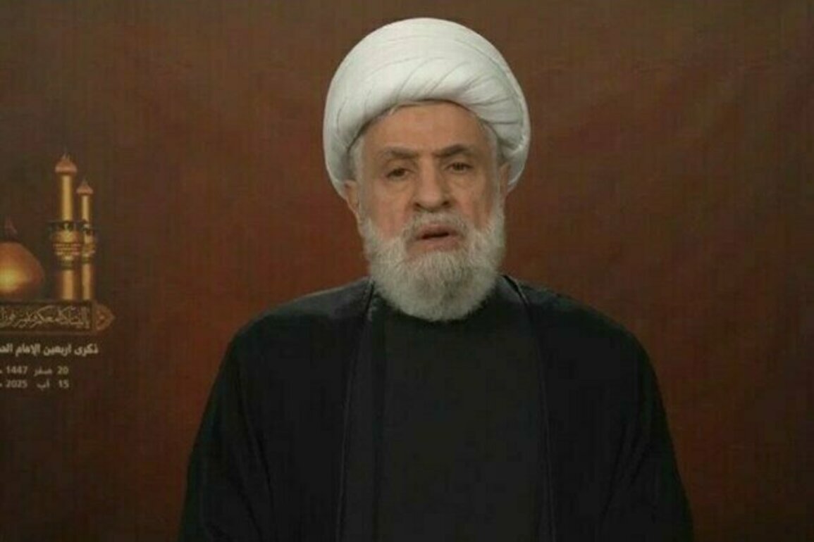 Hezbollah Won't Surrender Arms: Sheikh Qassem