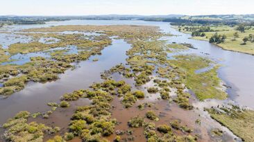 Aerial photo over Wingecarribee Swamp