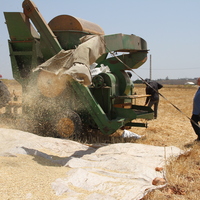 LEBANON-MARJEYOUN-WHEAT-HARVEST