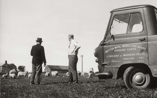 Celebrating 75 years of British Wool: "I believe demand for natural fibres is on the rise"