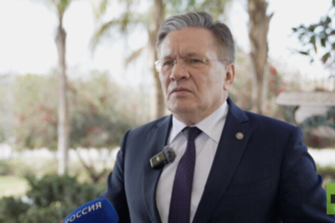 Egyptian nuclear plant to get first fuel next year - Rosatom