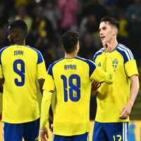 Pleased that we made it to 2026 FIFA World Cup: Sweden's Viktor Gyokeres