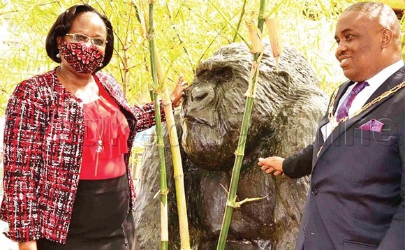 Dayirekita wa KCCA Dorothy Kisaka (ku kkono) ng'ali ne Loodi Meeya Lukwago bwe baabadde batongoza ekibumbe ky'ezzike. Dayirekita wa KCCA Dorothy Kisaka (ku kkono) ng'ali ne Loodi Meeya Lukwago bwe baabadde batongoza ekibumbe ky'ezzike.