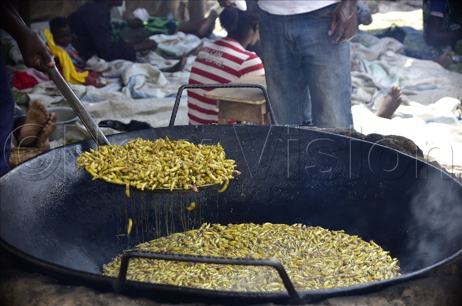   grasshopper vendor frying grasshoppers rasshoppers are a lucrative business towards the end of the year iriam amutebi