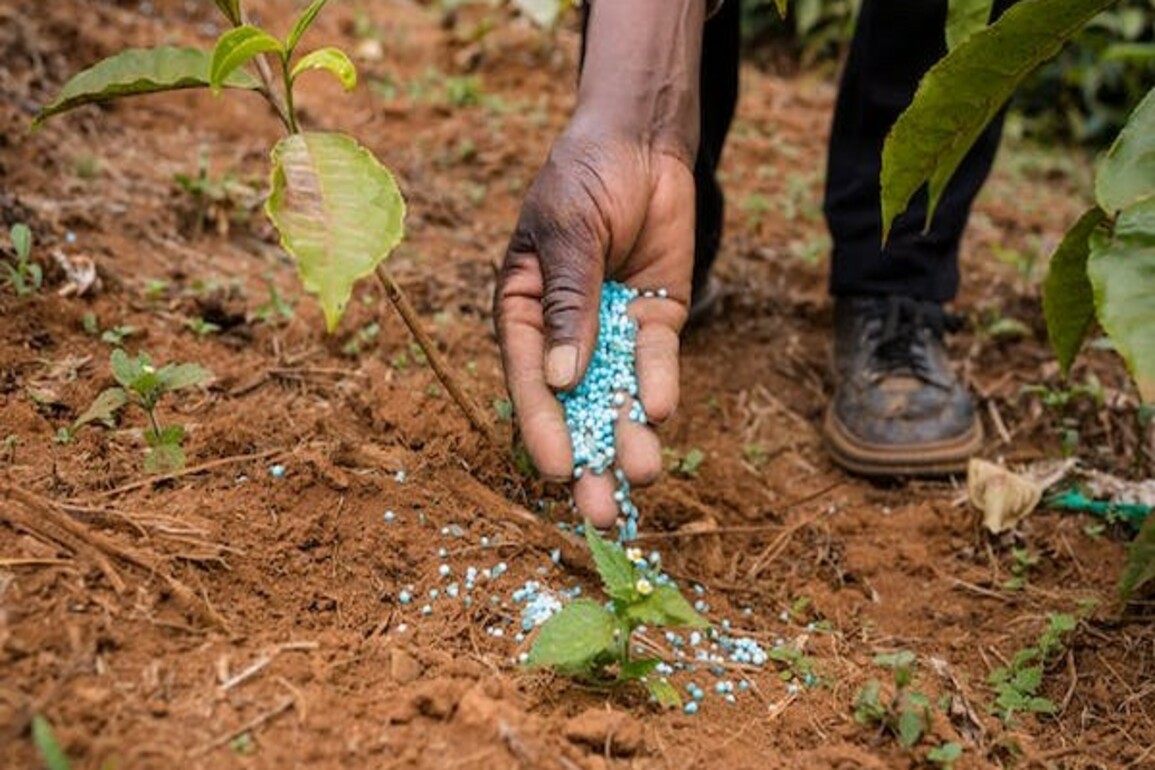 Hiked fertiliser subsidy unlikely to improve margins of companies: Report