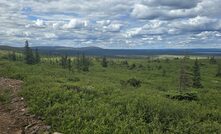 The Iron Bear project in Canada