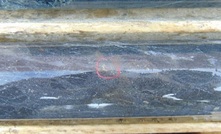  Visible gold from BR-2018-002 which contained 0.6m at 443g/t, the highest grade drilled to date at Smoke Lake