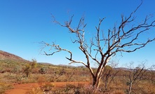 The funding is part of the WA government's "generational reforms".
