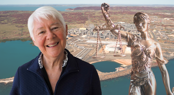 Opinion: What the intervention of the UN special rapporteur as an 'amicus curiae' means for the legal challenges against Woodside's North West Shelf project