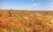 The Citadel project in the Paterson Province