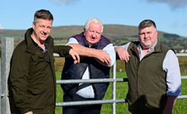 Genetics key to success for North Ireland pedigree beef herd