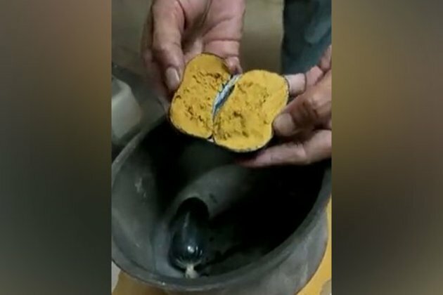 Telangana: Customs seizes gold worth Rs 42 lakh, concealed in man's rectum