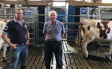 Robots help drive herds production up