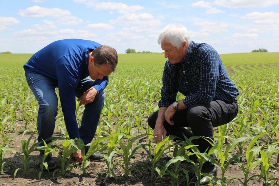 Iowa farmers hope for stable U.S.-China trading relations