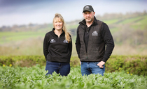 Farm-to-fork vision drives forward Herefordshire beef and arable farm