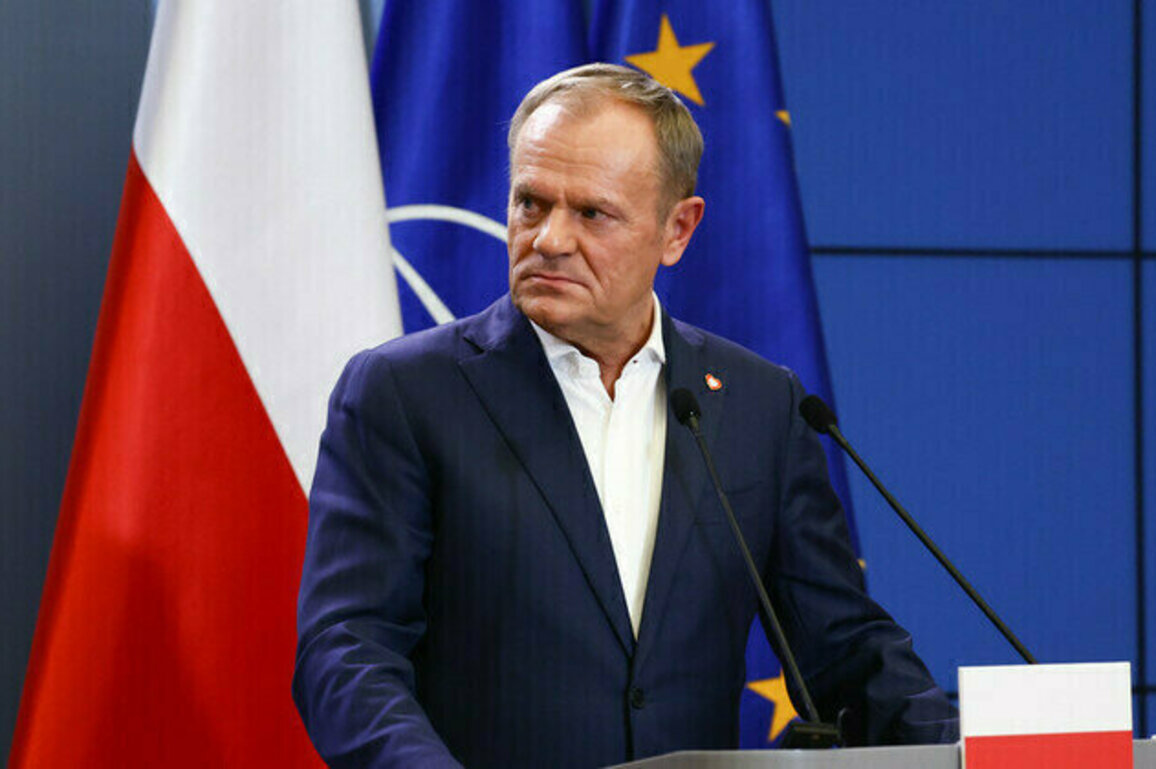 Polish PM blasts local idiots after neo-Nazi flag scandal 