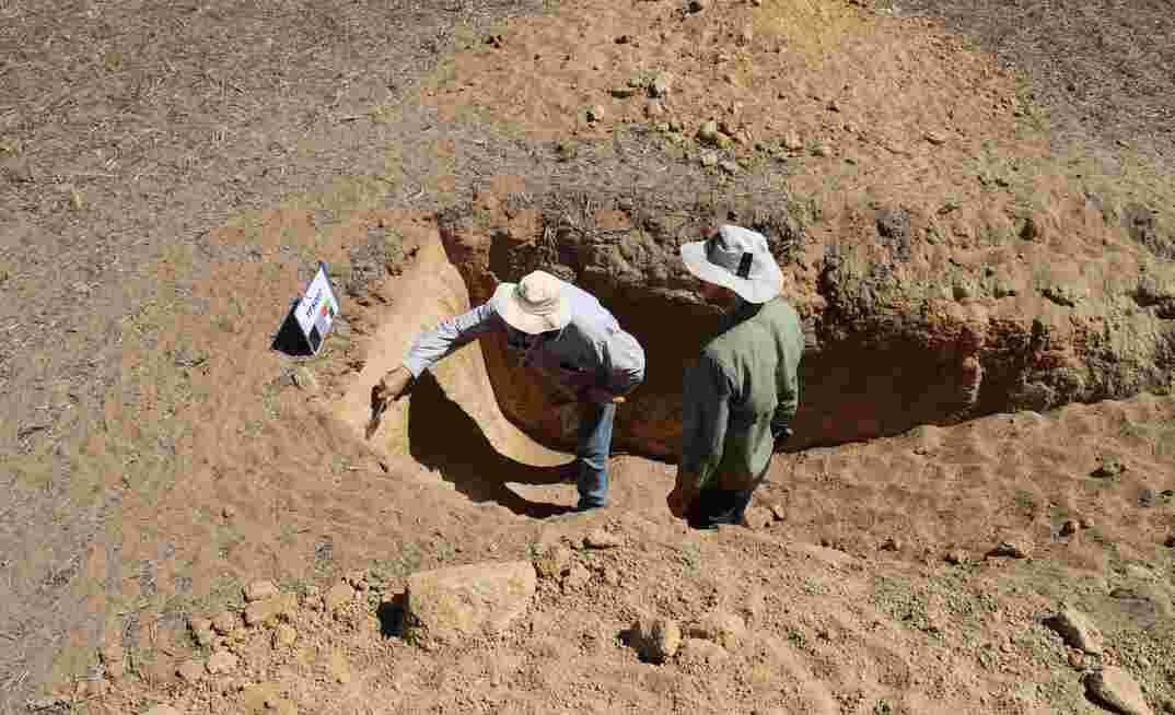 A new DPIRD led collaboration with grower groups will work with landholders to reduce the risk of wind erosion on properties with sandy soils.